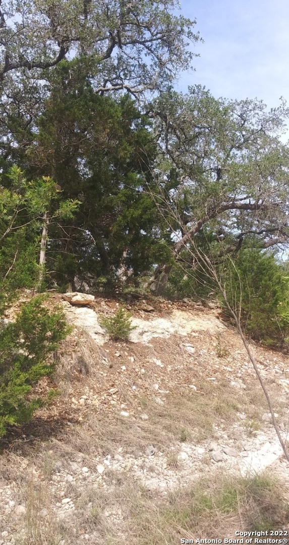 825 Rutherford Fischer, TX 78623 - Photo 5 of 6 a view of yard