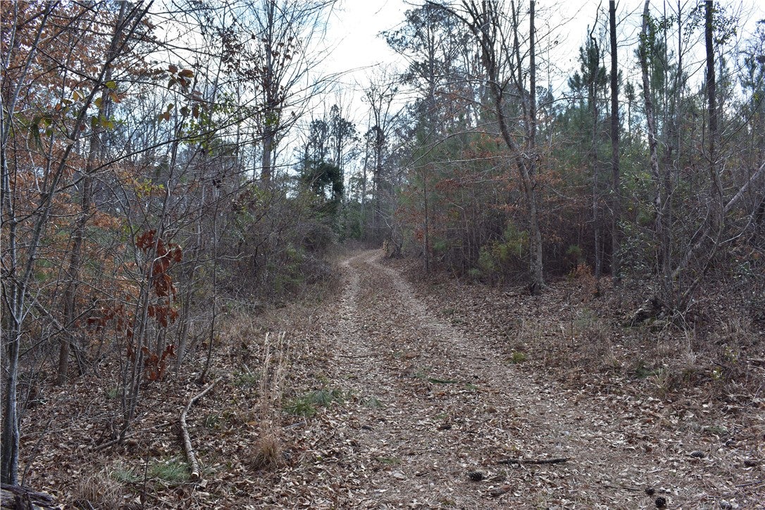 0 Double Bridge Ferry Road Eclectic, AL 36024 - Photo 8 of 11 Gallery Image 8