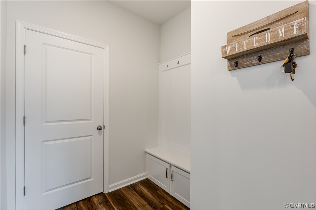 5649 Rohan Place Moseley, VA 23120 - Photo 23 of 48 MUD ROOM STORAGE DROP ZONE with cubbies and closet