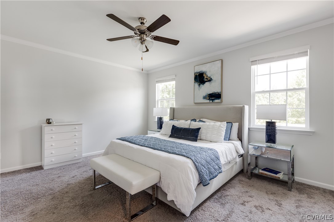 5649 Rohan Place Moseley, VA 23120 - Photo 24 of 48 Spacious PRIMARY BEDROOM with plenty of HUGE WINDO