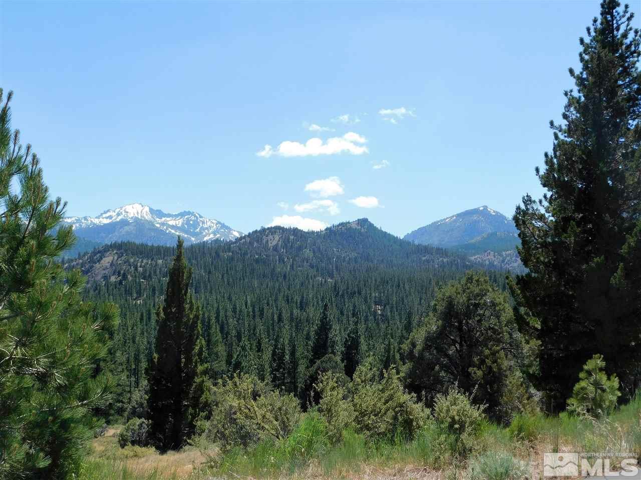 Lot 17 Raymond View Road Markleeville, CA 96120 - Photo 1 of 5 a view of a city with lush green forest
