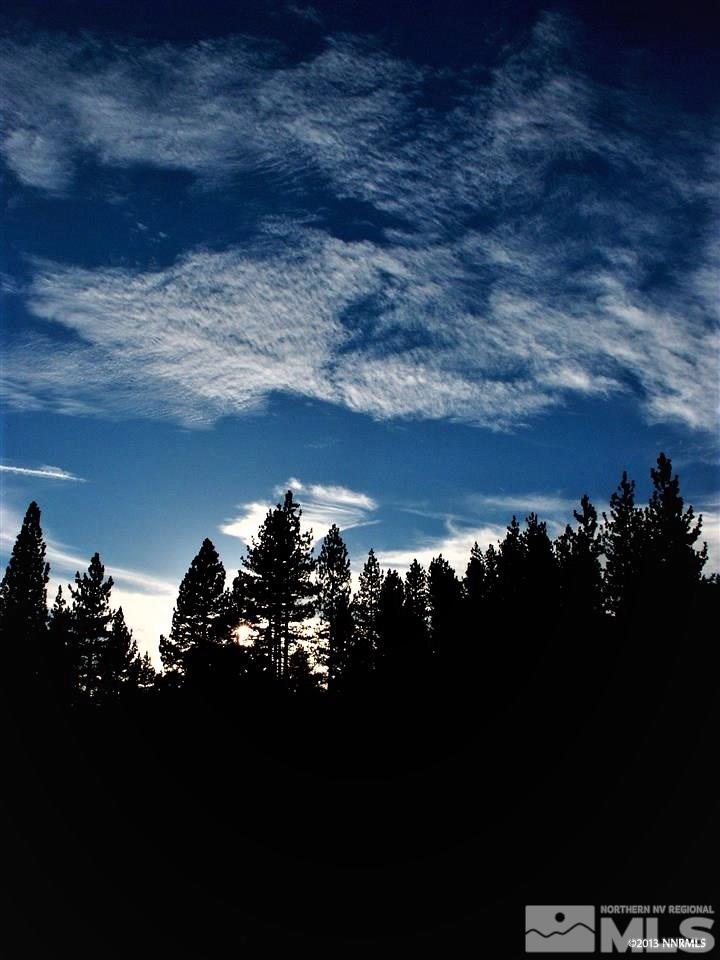 Lot 17 Raymond View Road Markleeville, CA 96120 - Photo 4 of 5