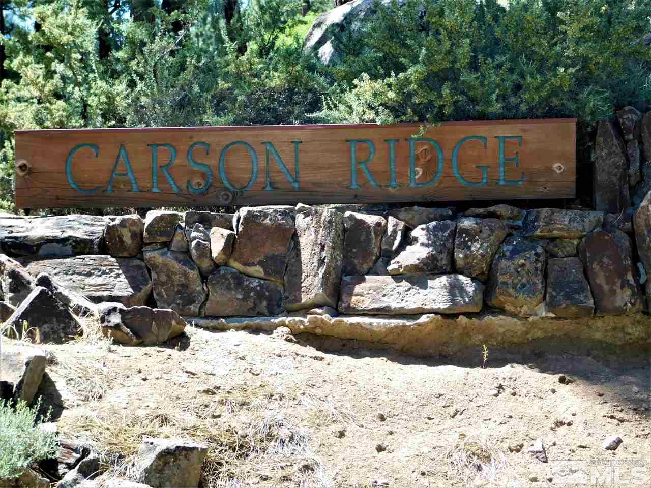 Lot 17 Raymond View Road Markleeville, CA 96120 - Photo 5 of 5 a street sign on a street side
