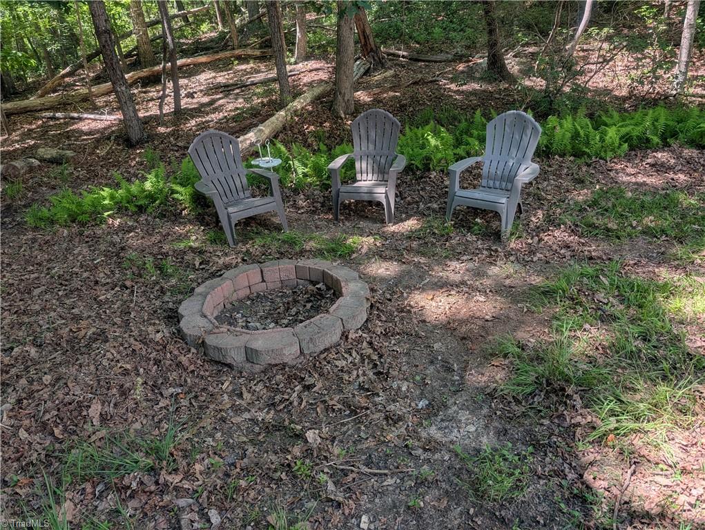 1040 Artists Way Road Danbury, NC 27016 - Photo 9 of 13
