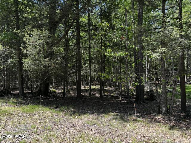 Lot 826 Fawn Road Hawley, PA 18428 - Photo 1 of 31