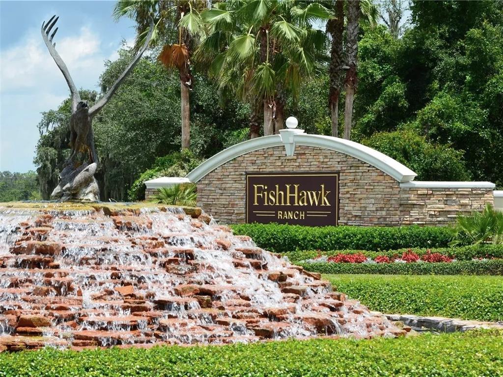 16910 Dorman Road Lithia, FL 33547 - Photo 35 of 46