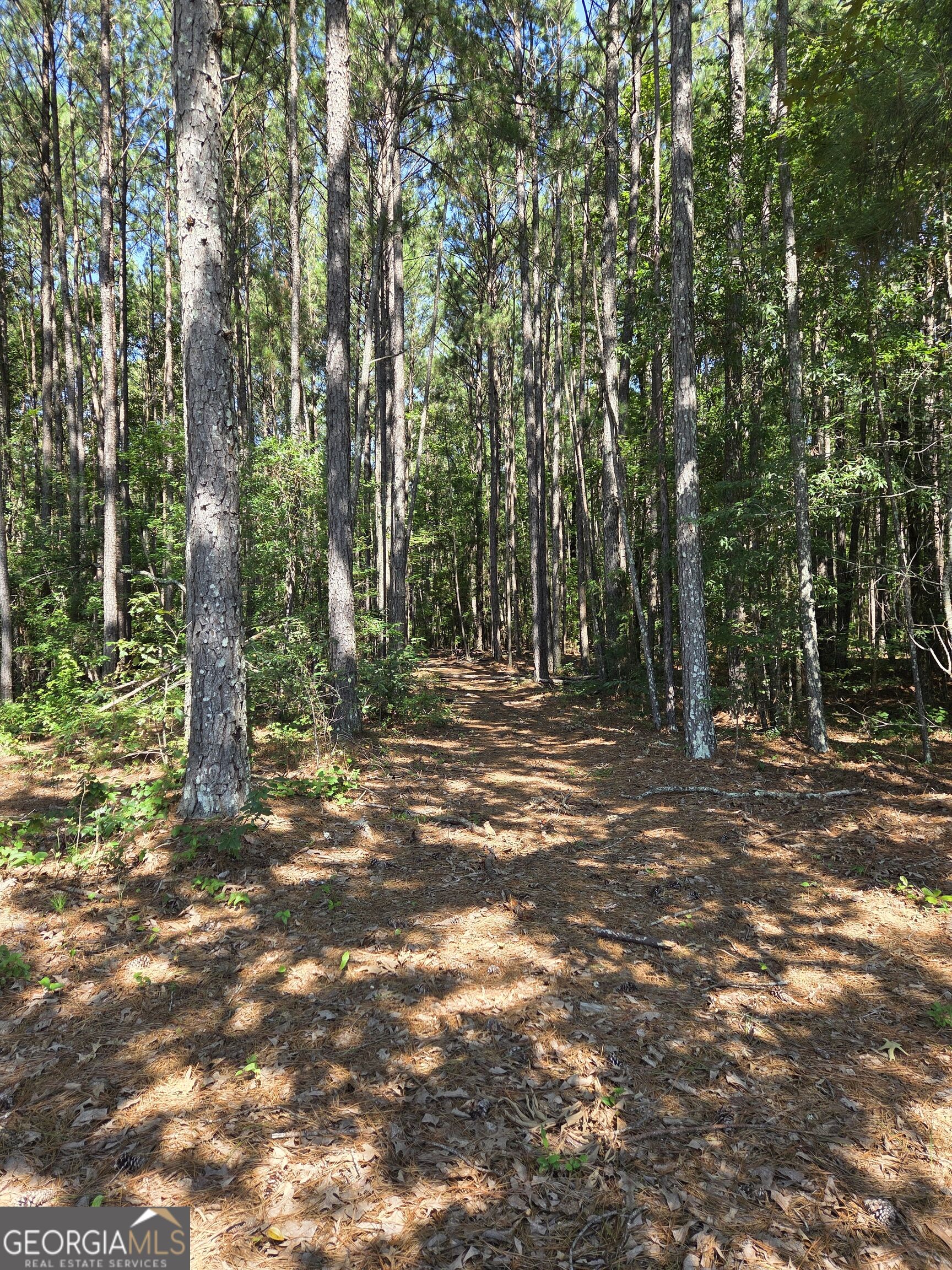 0 Millen Road Monticello, GA 31064 - Photo 7 of 28 Gallery Image 7