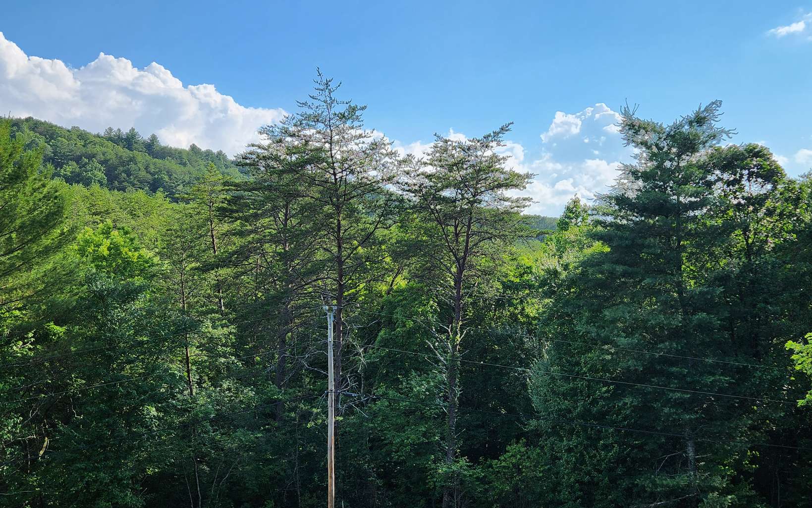 3.5-ac 3.5-ac Sassafras Ridge Road Turtletown, TN 37391 - Photo 5 of 16 Additional View