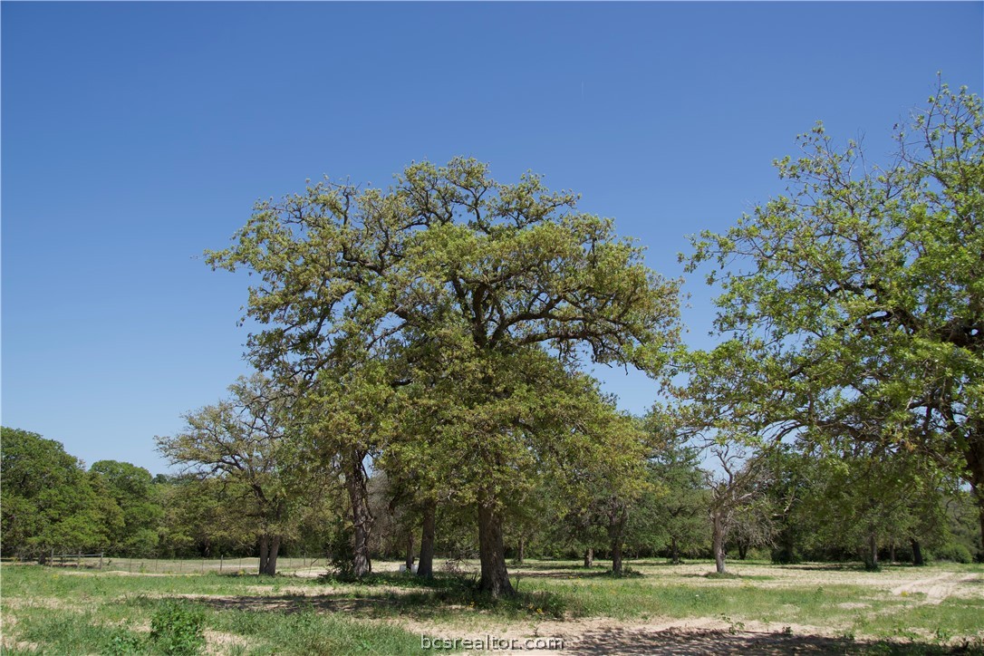 1035 Sayers Road Elgin, TX 78621 - Photo 9 of 20