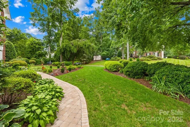 a view of a park with large trees