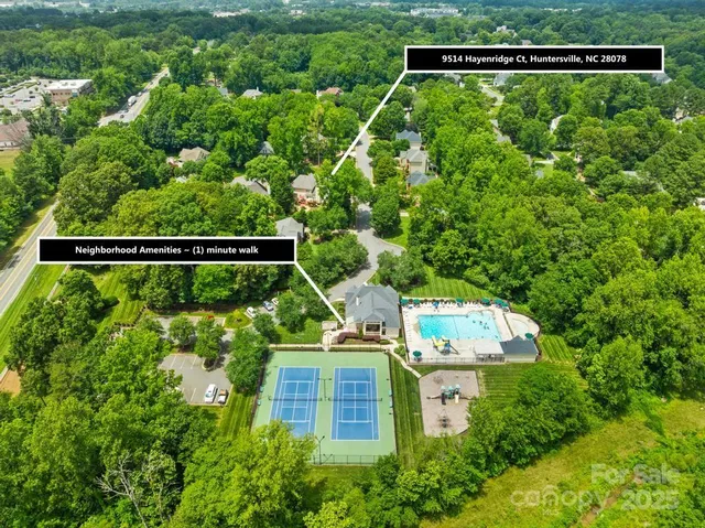 a view of a garden with an outdoor space
