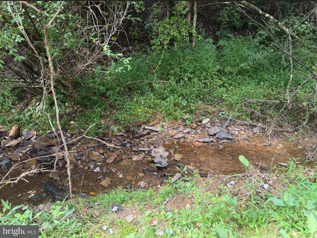 285 Clay Lick Ridge Road Rio, WV 26755 - Photo 3 of 5 Gallery Image 3