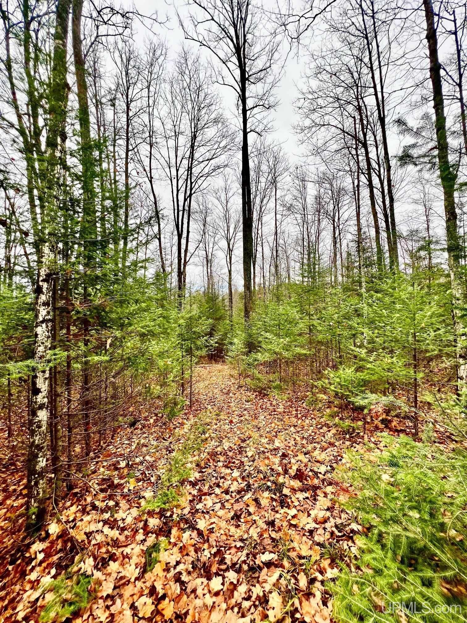 W8487 Leeman Road Sagola, MI 49881 - Photo 26 of 28