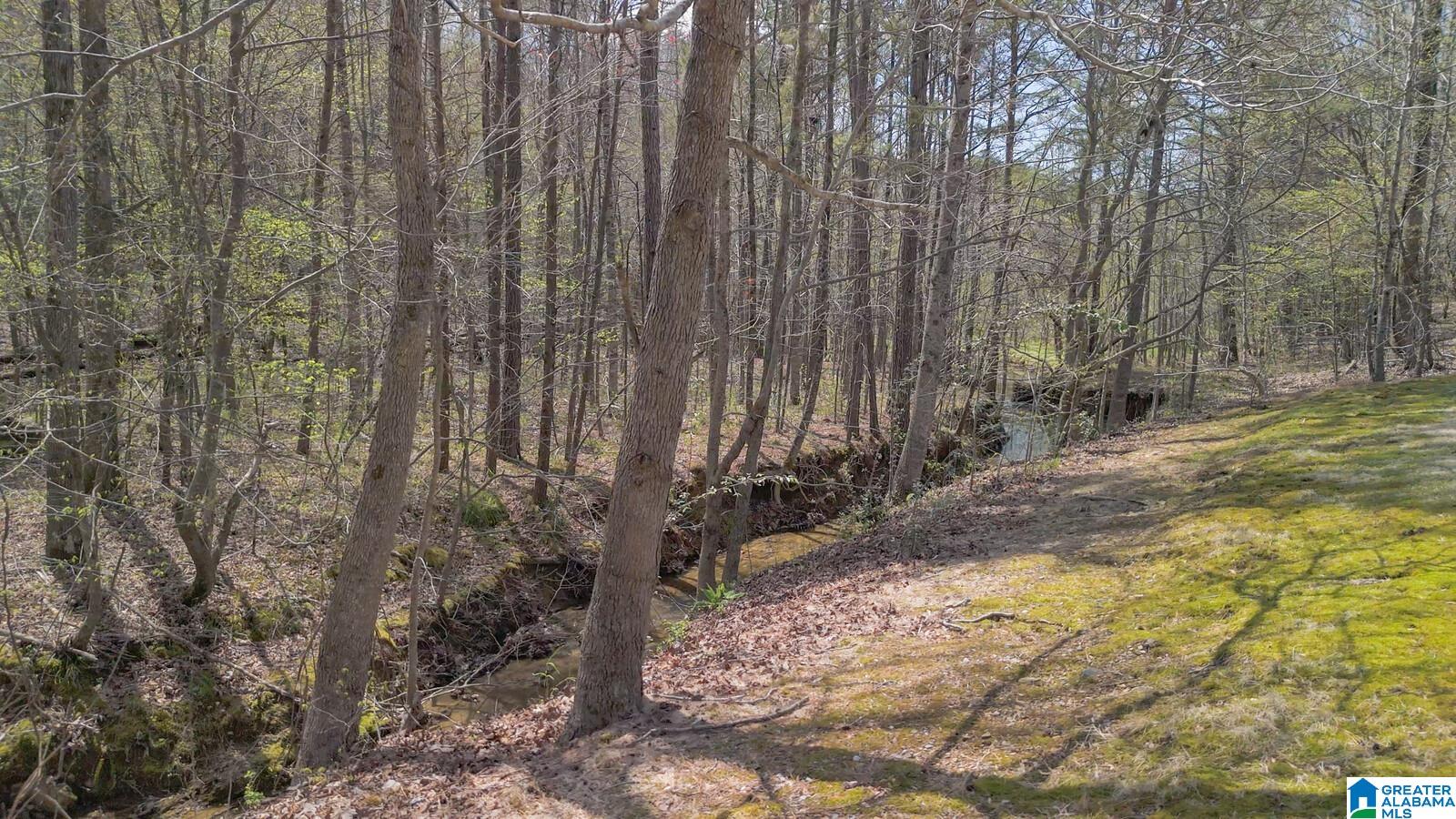 7351 Kings Mountain Road Birmingham, AL 35242 - Photo 53 of 57