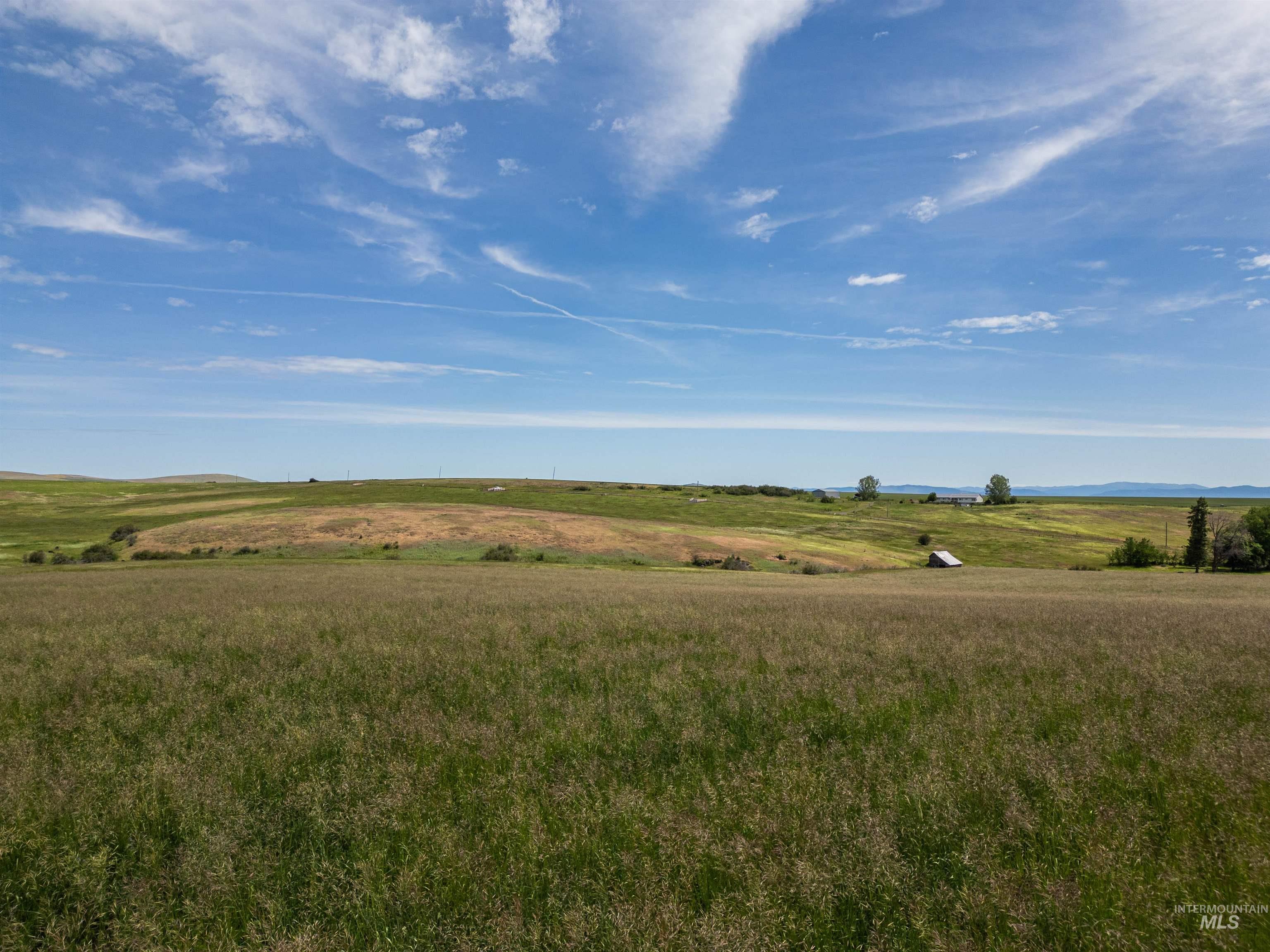 Tbd Wasem Road Grangeville, ID 83530 - Photo 6 of 11