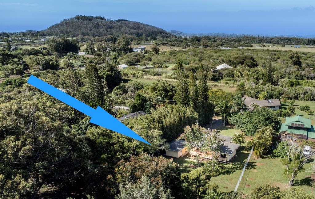 60 Nohea Place, Unit B Haiku, HI 96708 - Photo 29 of 30 a view of a forest with a yard