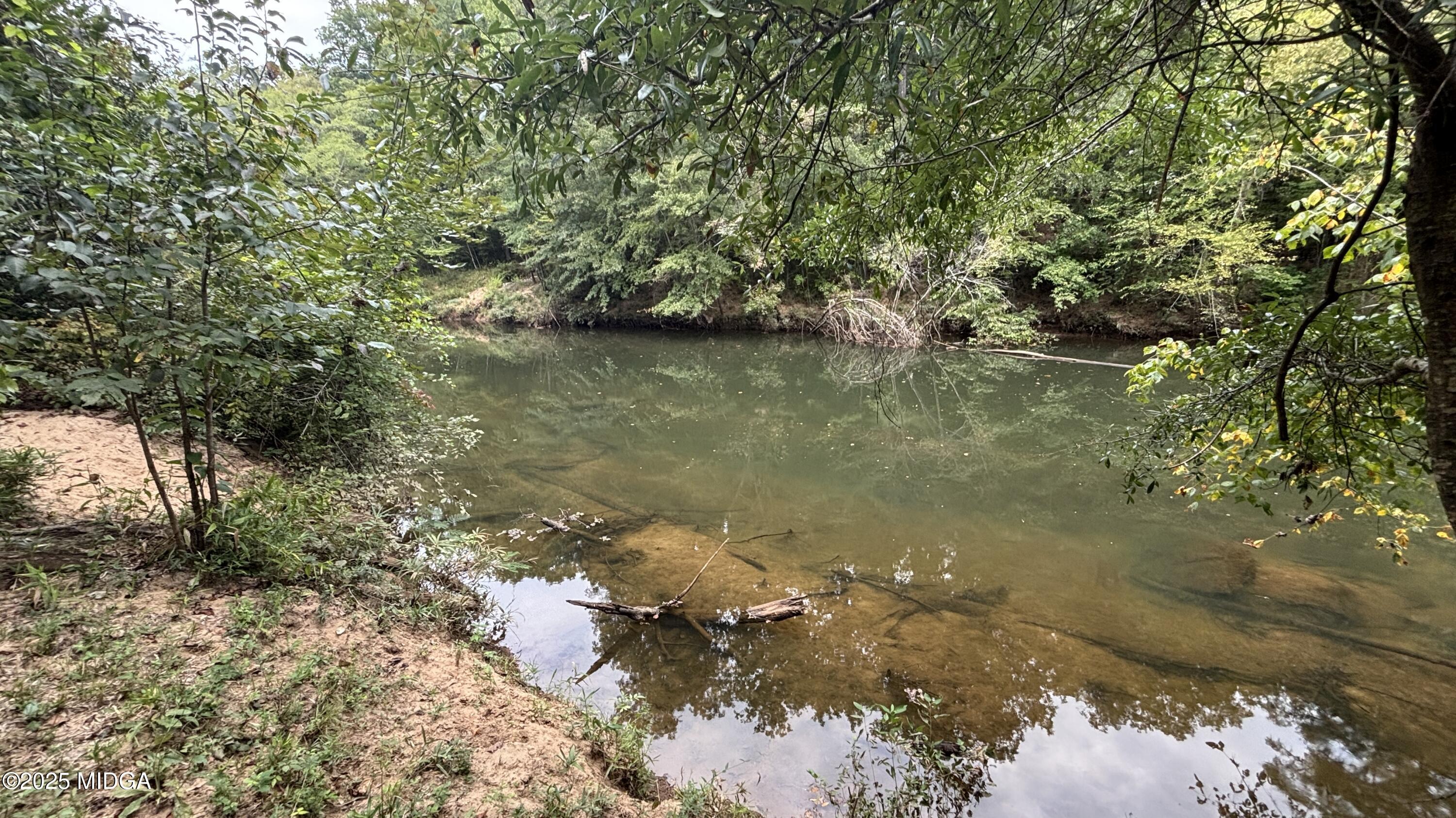 2489 Boxankle Road Forsyth, GA 31029 - Photo 62 of 68 IMG_5242