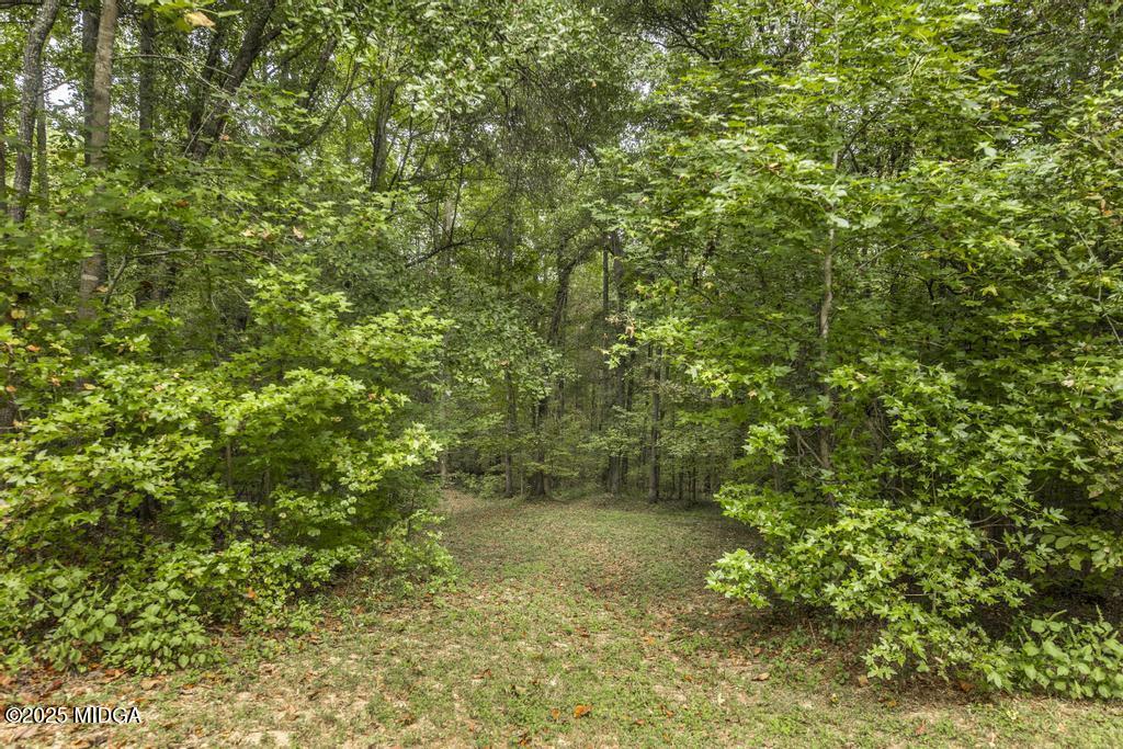 2489 Boxankle Road Forsyth, GA 31029 - Photo 63 of 68 2489 Boxankle Rd 58