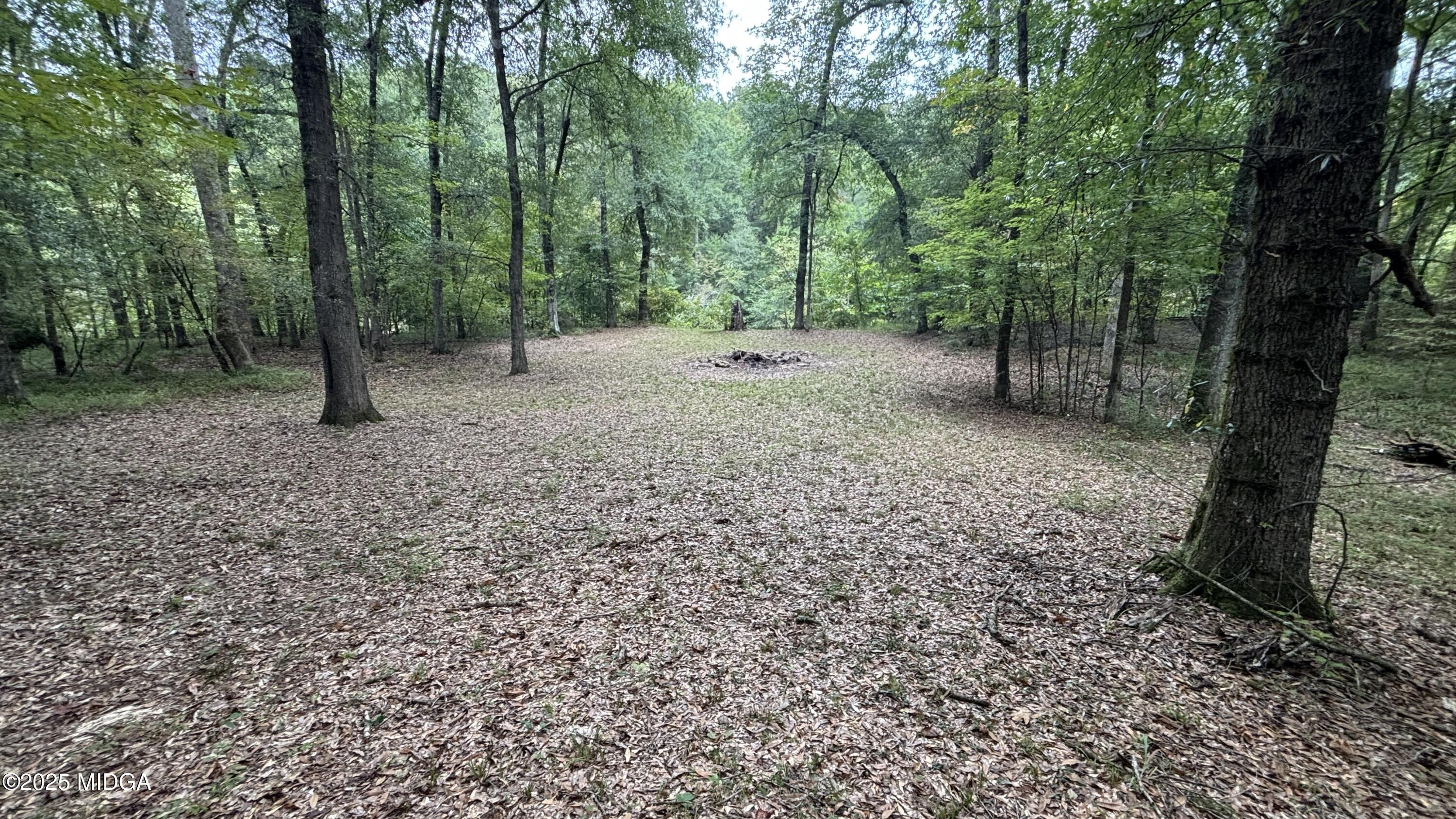 2489 Boxankle Road Forsyth, GA 31029 - Photo 64 of 68 a backyard of a house with lots of green space