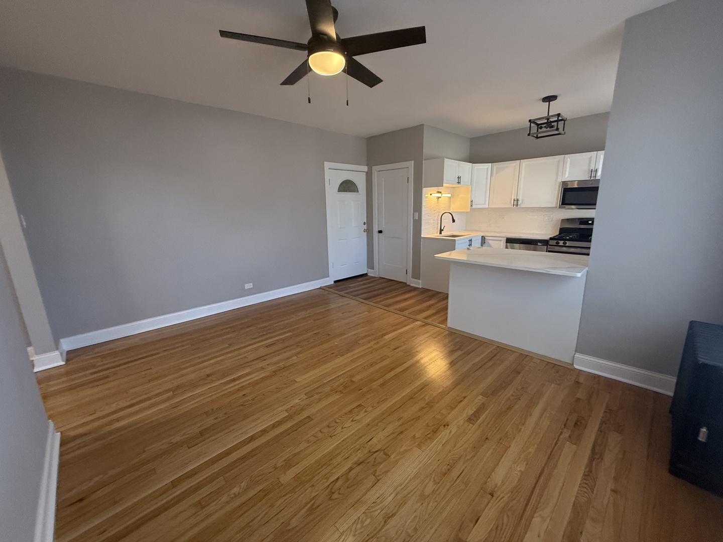 4956 North Harding Avenue, Unit 2 Chicago, IL 60625 - Photo 4 of 21