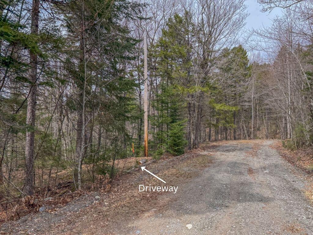 3 Beaver Bottom Road Greenville, ME 04441 - Photo 6 of 16 Driveway