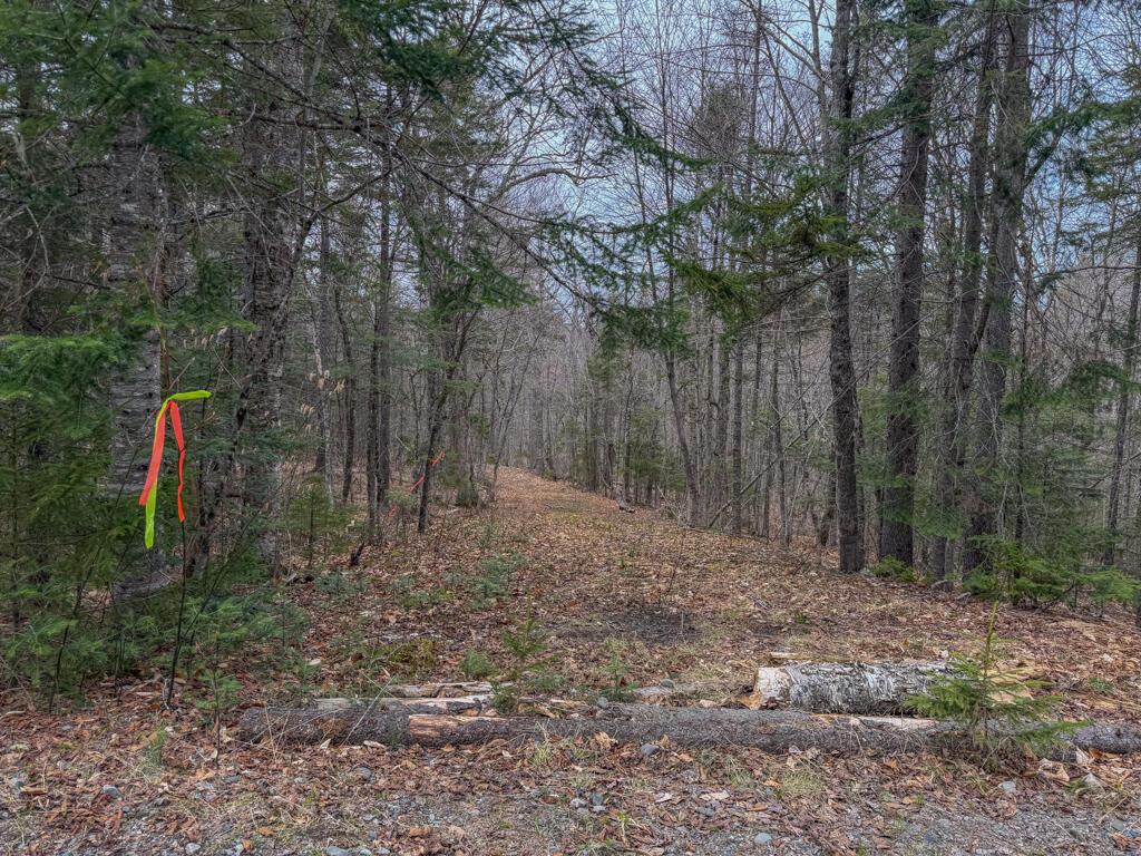 3 Beaver Bottom Road Greenville, ME 04441 - Photo 7 of 16 IMG_3459