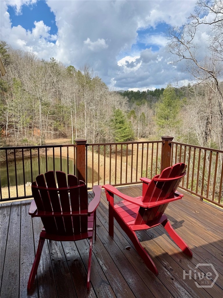 1365 Sky Lake Road Sautee Nacoochee, GA 30571 - Photo 14 of 53