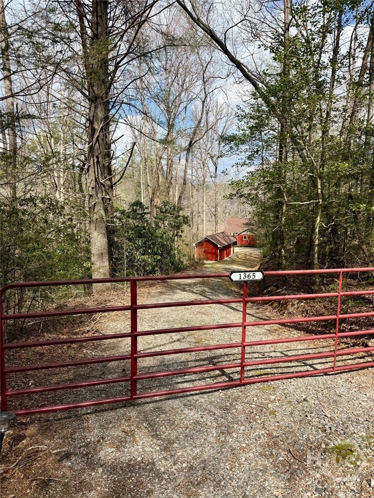 1365 Sky Lake Road Sautee Nacoochee, GA 30571 - Photo 2 of 53