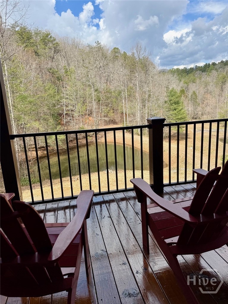 1365 Sky Lake Road Sautee Nacoochee, GA 30571 - Photo 3 of 53