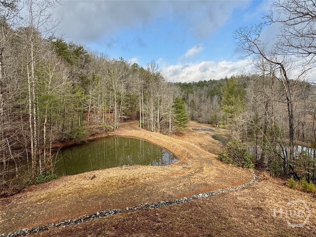 1365 Sky Lake Road Sautee Nacoochee, GA 30571 - Photo 43 of 53