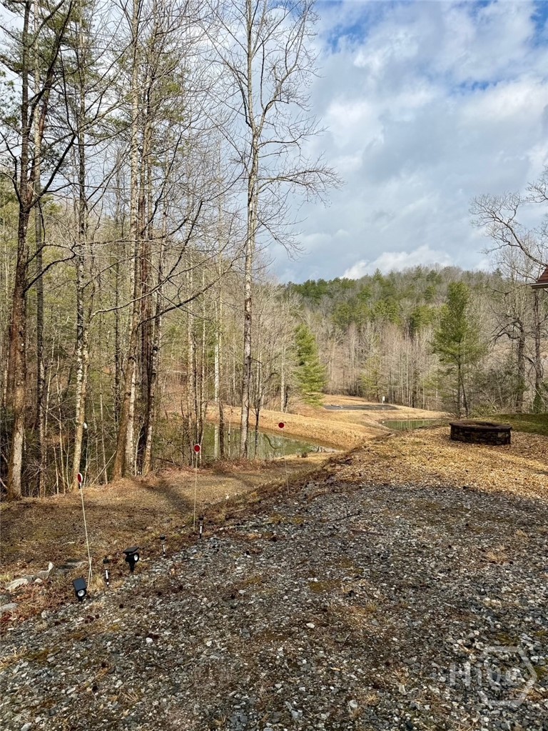 1365 Sky Lake Road Sautee Nacoochee, GA 30571 - Photo 44 of 53