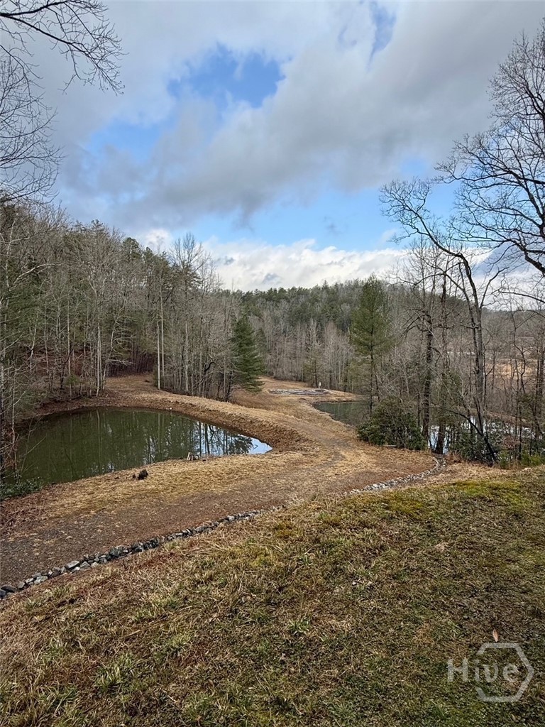 1365 Sky Lake Road Sautee Nacoochee, GA 30571 - Photo 45 of 53