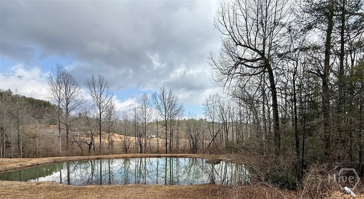 1365 Sky Lake Road Sautee Nacoochee, GA 30571 - Photo 46 of 53