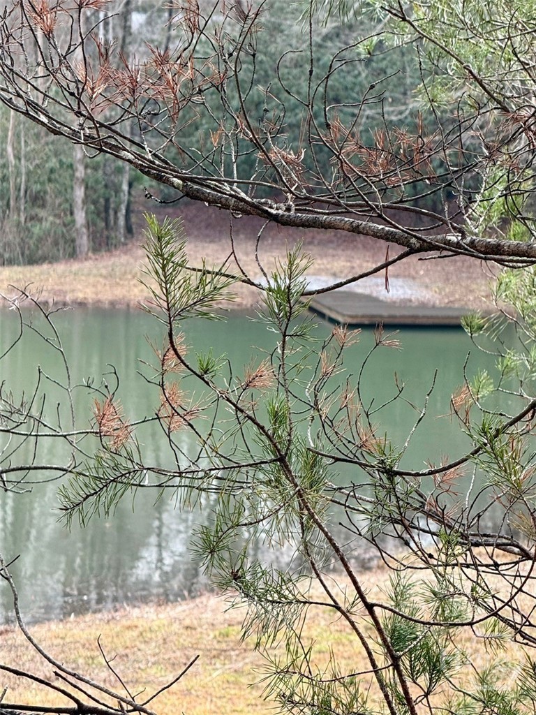 1365 Sky Lake Road Sautee Nacoochee, GA 30571 - Photo 48 of 53