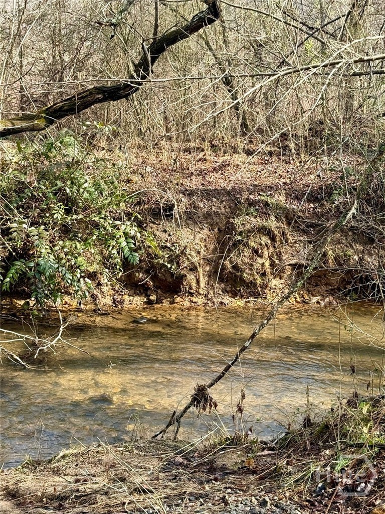 1365 Sky Lake Road Sautee Nacoochee, GA 30571 - Photo 49 of 53