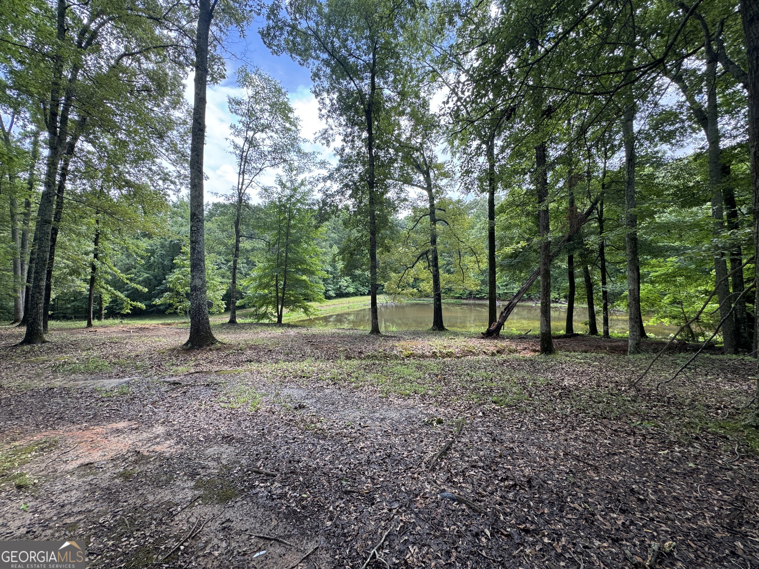 3413 Dames Ferry Road Forsyth, GA 31029 - Photo 5 of 23