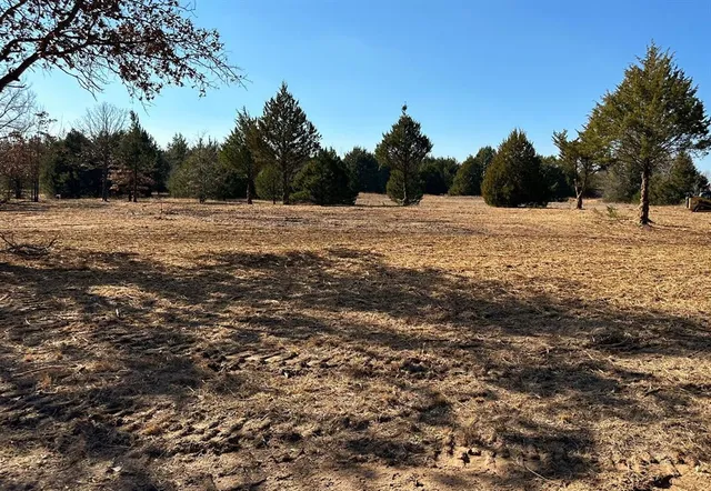 a view of outdoor space with trees