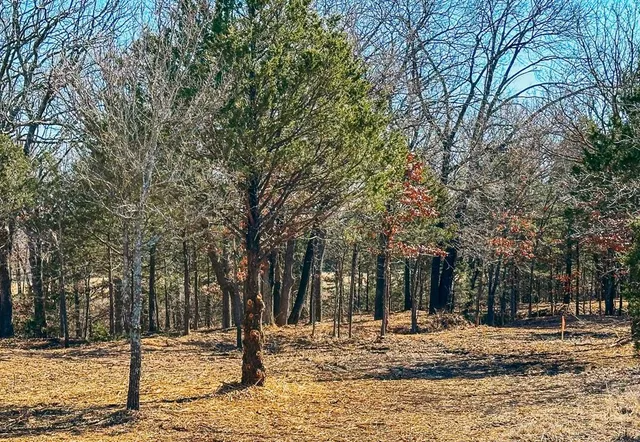 a view of a yard with trees