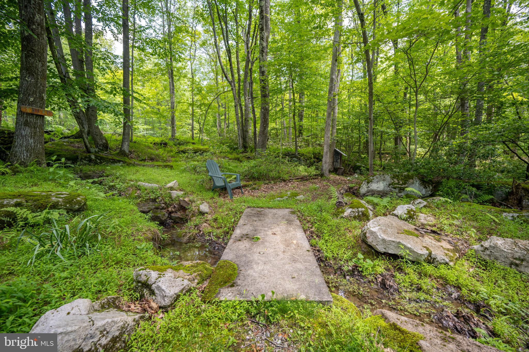 328 Stool Rock Road Oakland, MD 21550 - Photo 32 of 133