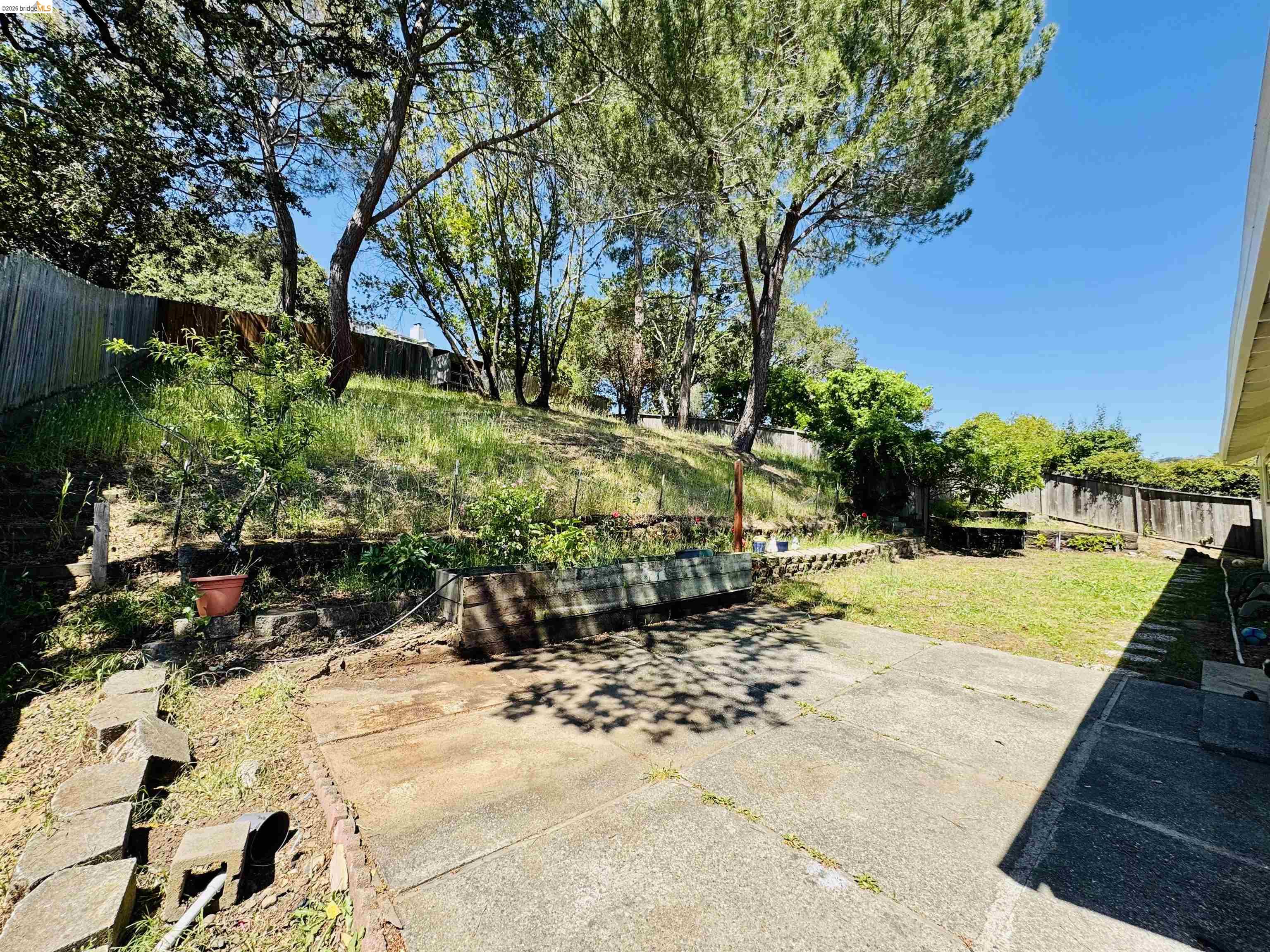 64 Washington Street Novato, CA 94947 - Photo 20 of 21 Multi-level backyard featuring a concrete patio, a grass lawn, and a sloped, treed area