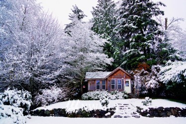1830 Vernon Road Lake Stevens, WA 98258 - Photo 35 of 37
