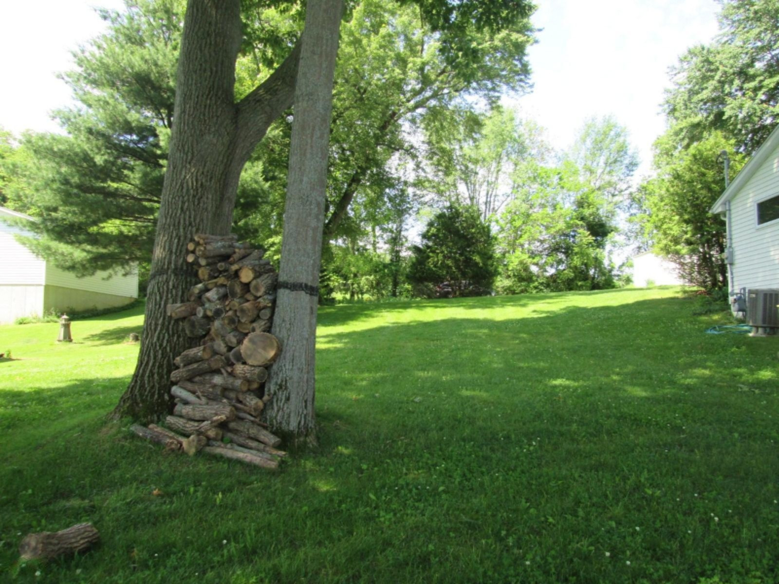 58811 Edgewood Drive Three Rivers, MI 49093 - Photo 32 of 34 Yard