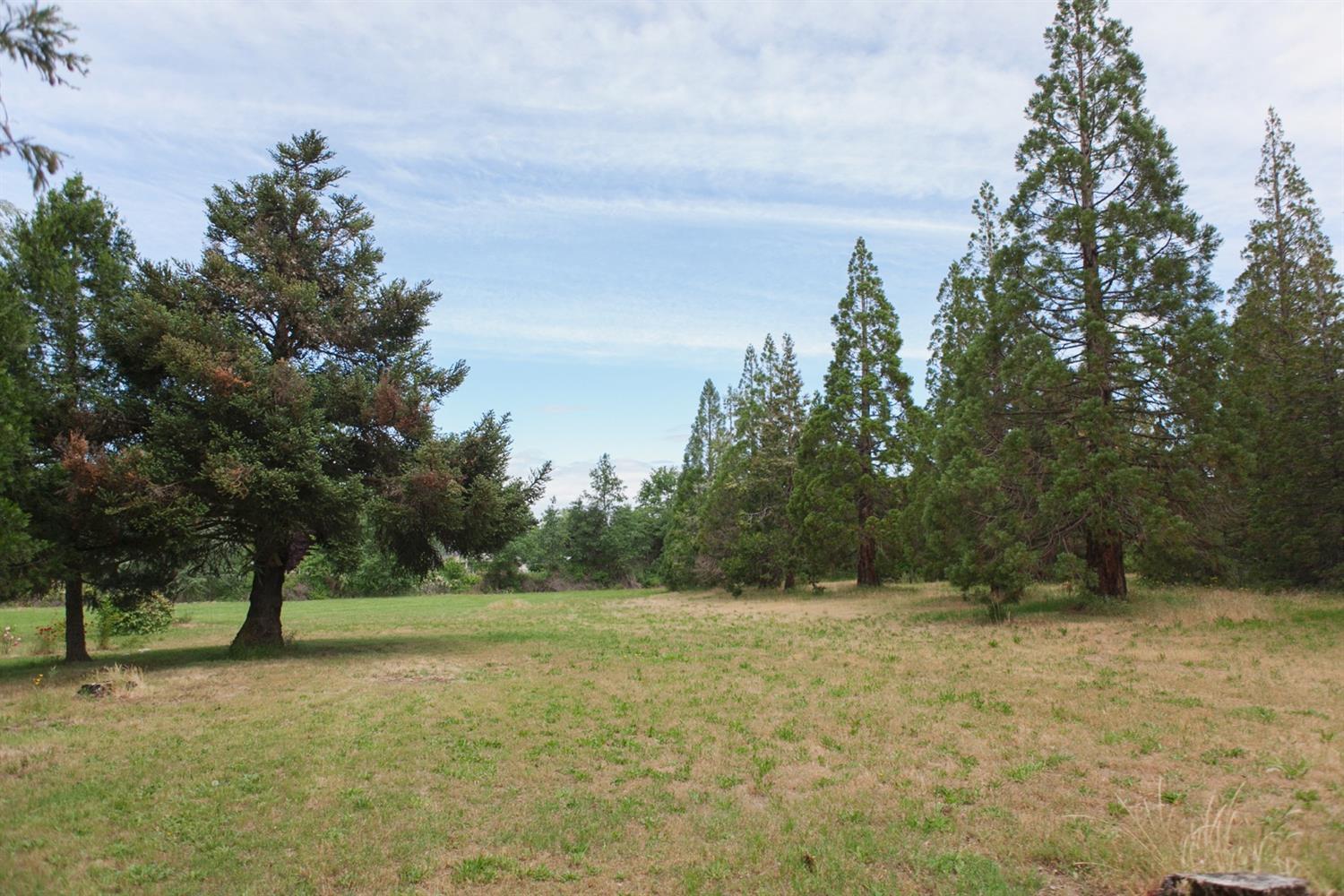 3664 Grant Road Central Point, OR 97502 - Photo 8 of 12 Additional Photo