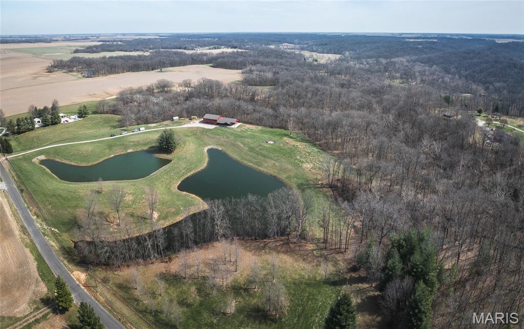 19790 Grange Hall Road Jerseyville, IL 62052 - Photo 37 of 99