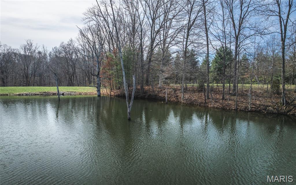 19790 Grange Hall Road Jerseyville, IL 62052 - Photo 40 of 99