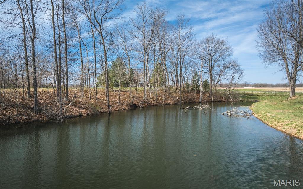 19790 Grange Hall Road Jerseyville, IL 62052 - Photo 41 of 99