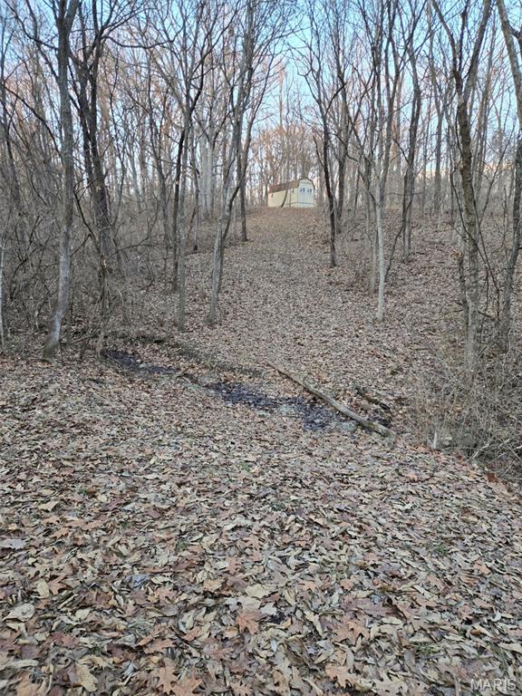 19790 Grange Hall Road Jerseyville, IL 62052 - Photo 54 of 99