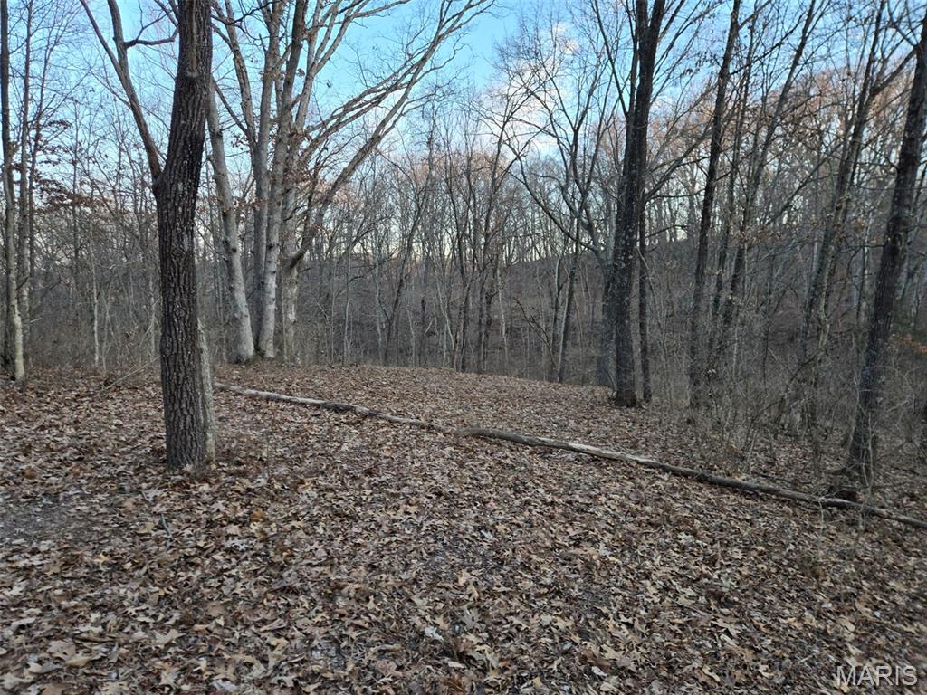 19790 Grange Hall Road Jerseyville, IL 62052 - Photo 55 of 99