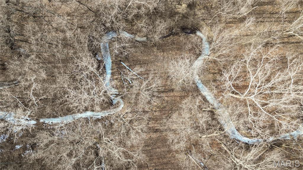 19790 Grange Hall Road Jerseyville, IL 62052 - Photo 63 of 99