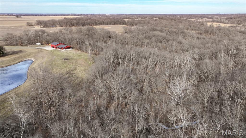 19790 Grange Hall Road Jerseyville, IL 62052 - Photo 64 of 99